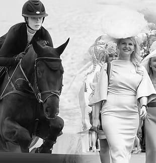 Events & Occasions